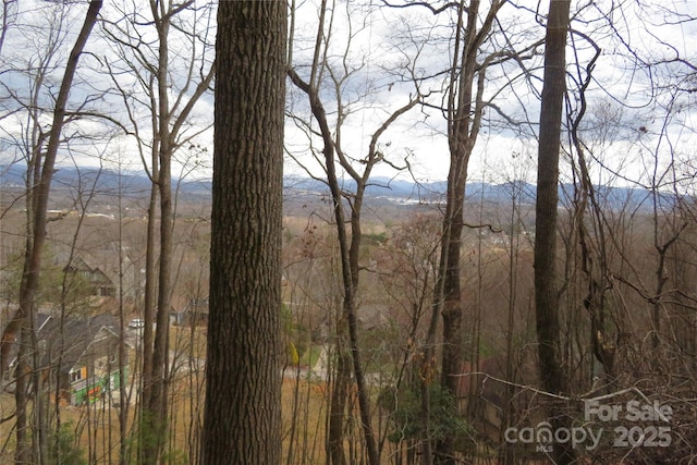 Listing photo 2 for TBD High Vista Dr Lot 165, Mills River NC 28759