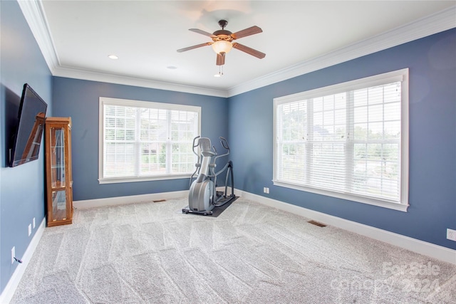 workout area featuring crown molding, ceiling fan, and light colored carpet