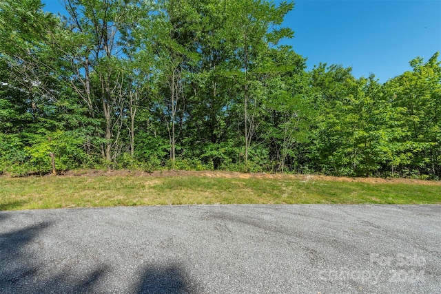 347 Yosemite Falls Trl, Black Mountain NC, 28711 land for sale