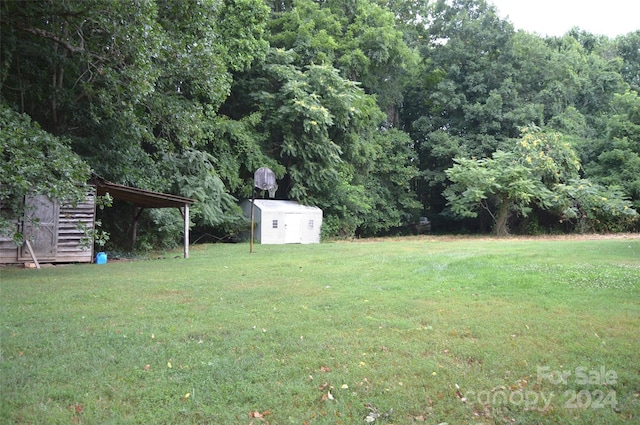 view of yard with a storage shed