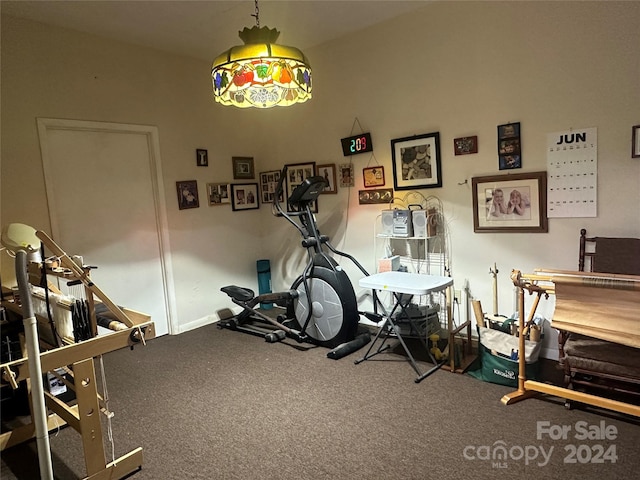 workout room featuring carpet