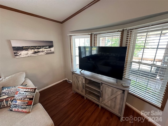 living room featuring lofted ceiling, dark hardwood / wood-style flooring, and ornamental molding