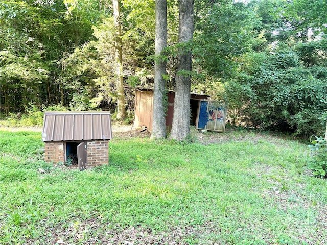 view of yard with a storage shed