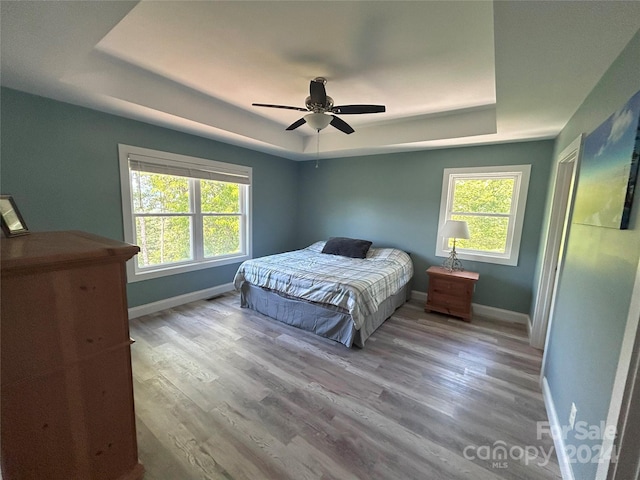 bedroom with ceiling fan, a tray ceiling, multiple windows, and light hardwood / wood-style floors