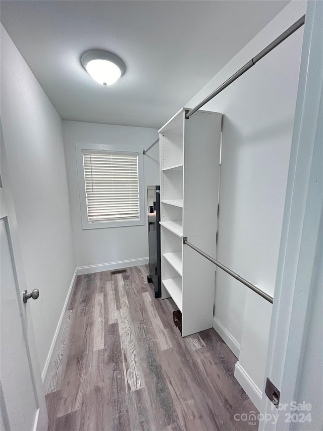 spacious closet featuring wood-type flooring