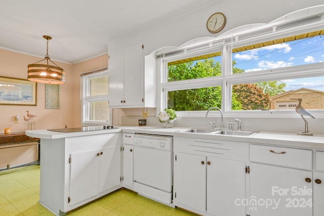 kitchen featuring black electric cooktop, white dishwasher, pendant lighting, white cabinets, and sink