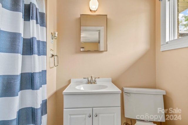 bathroom with toilet and vanity