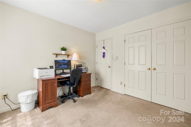 home office featuring light colored carpet