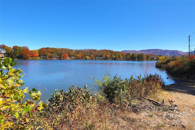 property view of water