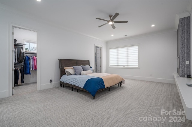 carpeted bedroom with ceiling fan, a walk in closet, ornamental molding, and a closet