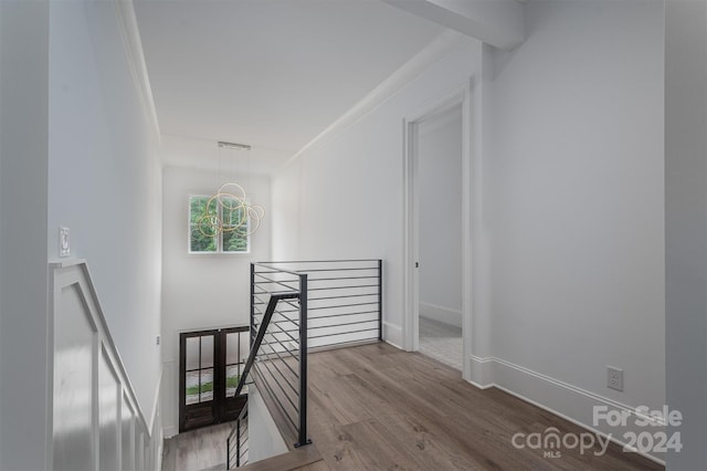 stairs with an inviting chandelier, hardwood / wood-style floors, and ornamental molding