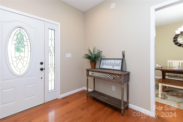 entrance foyer featuring wood-type flooring