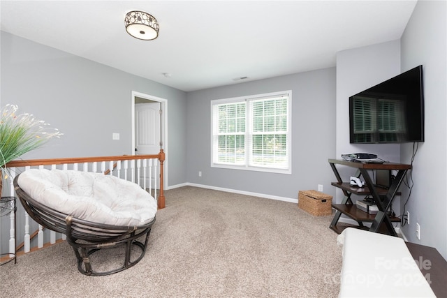 sitting room with carpet