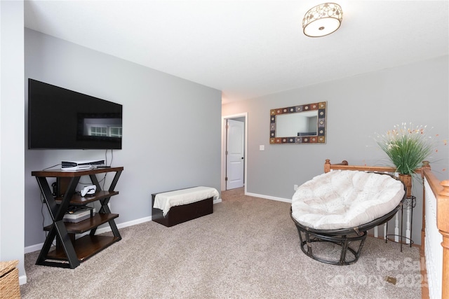 460 Panther Branch Rd, Alexander, NC 28701 - living area with carpet and baseboards