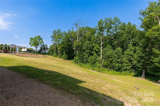 460 Panther Branch Rd, Alexander, NC 28701 - photo 38