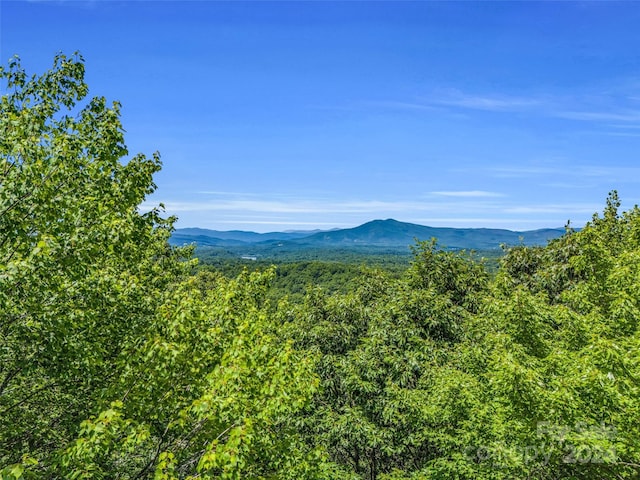 52 Big View Dr Unit 150, Marion NC, 28752 land for sale