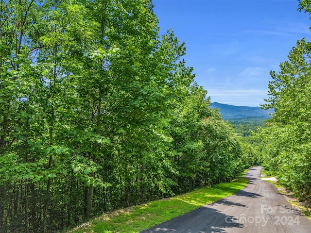 Listing photo 3 for 52 Big View Dr Unit 150, Marion NC 28752