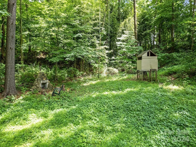 view of yard featuring a storage unit