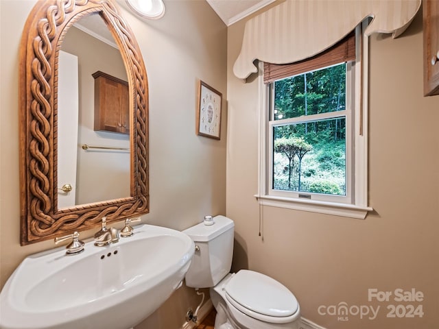 bathroom featuring sink, ornamental molding, and toilet