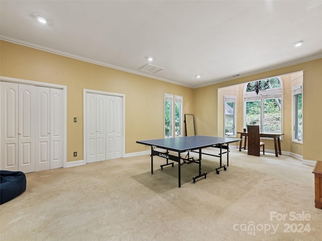 rec room with light carpet, plenty of natural light, and ornamental molding