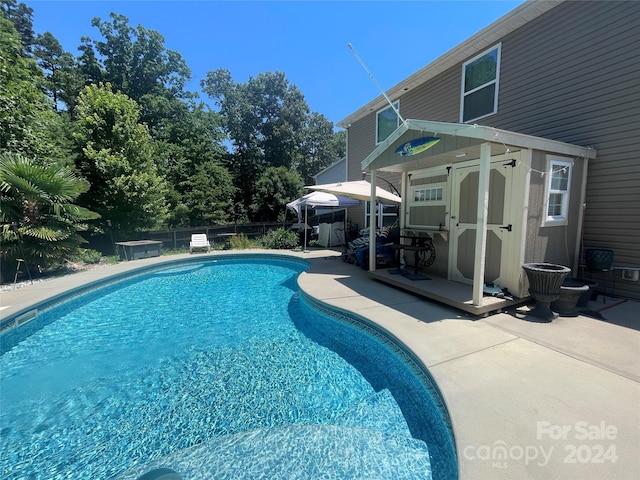 view of swimming pool with a shed and a patio