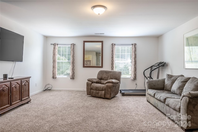 carpeted living room with a wealth of natural light