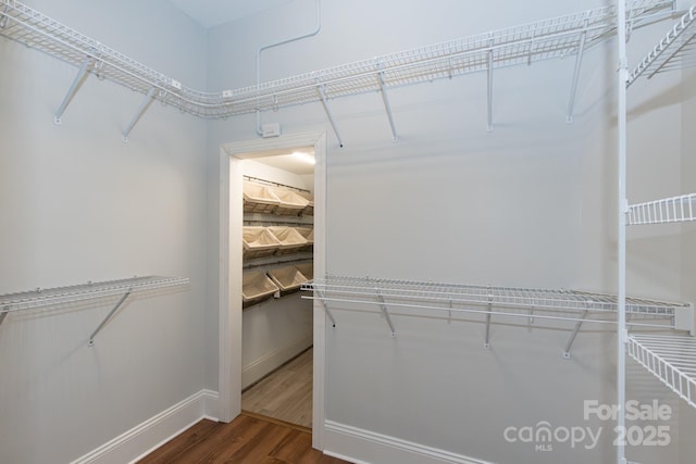 walk in closet featuring wood-type flooring