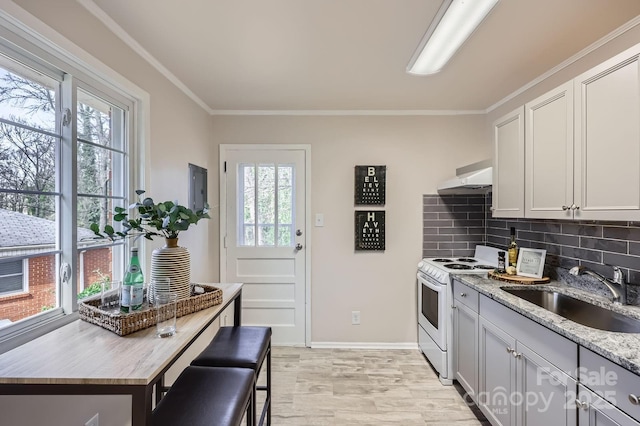 kitchen with crown molding, white electric range oven, tasteful backsplash, a sink, and under cabinet range hood