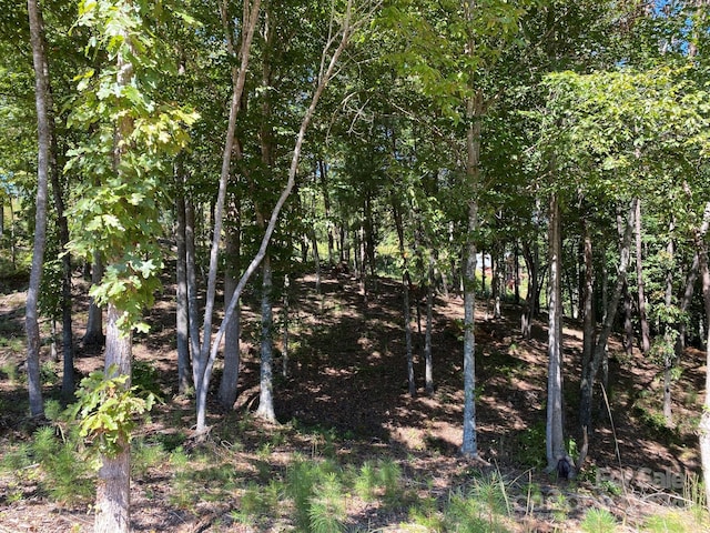 Listing photo 3 for LOT93 Leeward Ln Unit 93, Granite Falls NC 28630