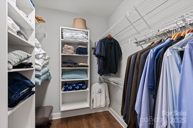 walk in closet featuring dark wood-type flooring