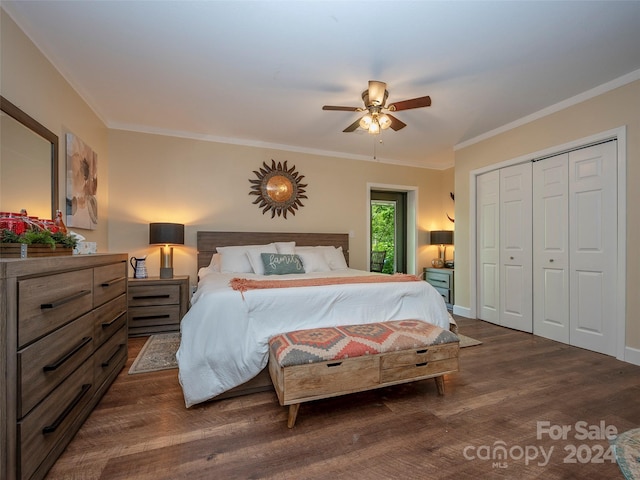 bedroom with ceiling fan, a closet, dark hardwood / wood-style floors, and crown molding