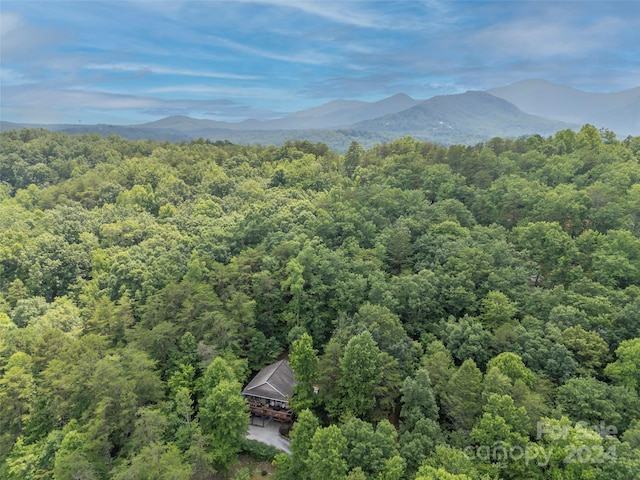 property view of mountains