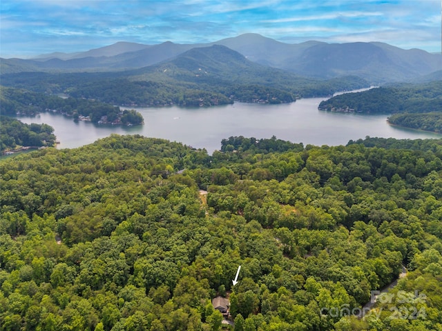 mountain view with a water view