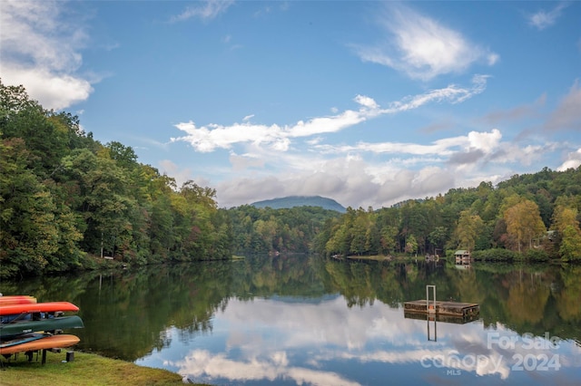 water view featuring a boat dock