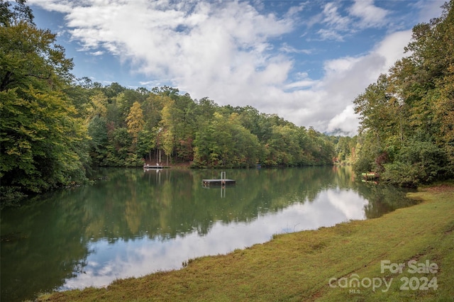 property view of water