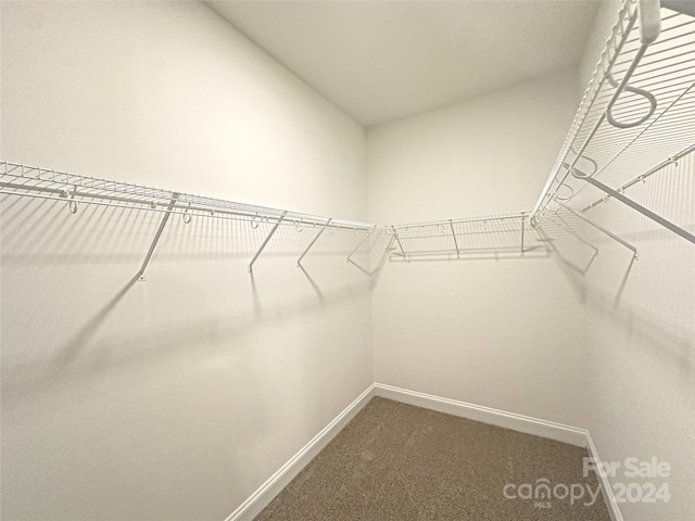 spacious closet with carpet flooring