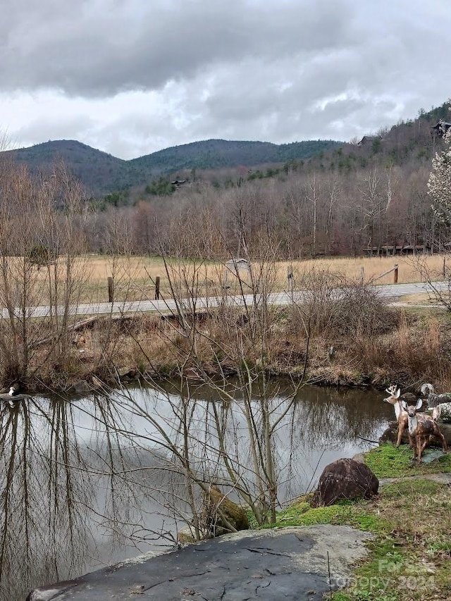 view of water feature featuring a mountain view