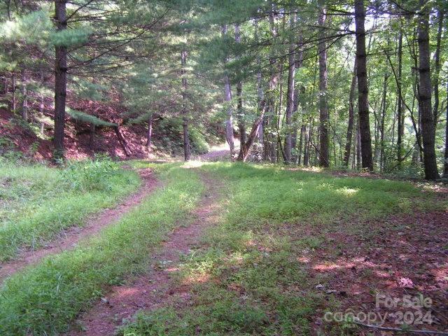 0 Crestline Dr, Franklin NC, 28734 land for sale