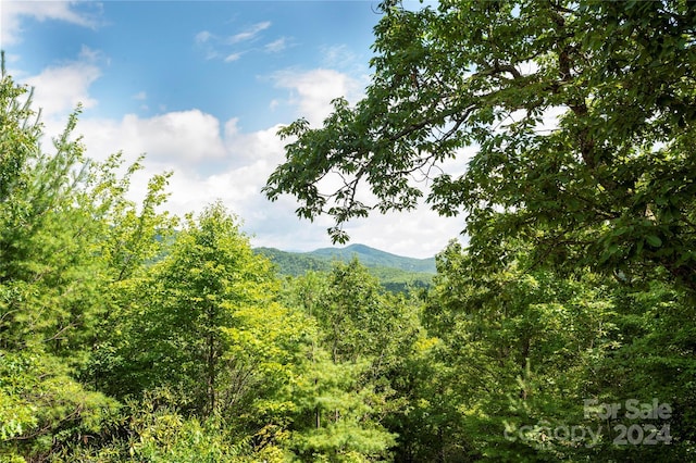 property view of mountains with a view of trees