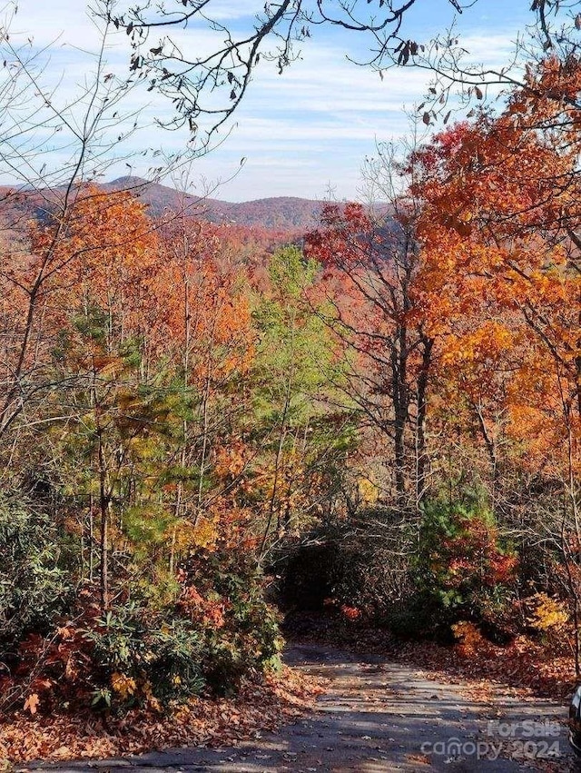 view of mountain feature