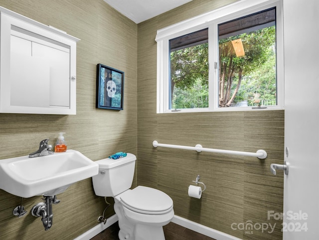 bathroom featuring toilet and sink