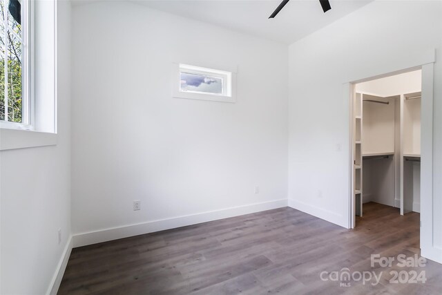 unfurnished bedroom with a spacious closet, ceiling fan, a closet, and dark wood-type flooring