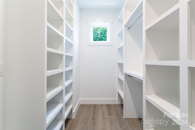 spacious closet featuring light wood-style floors