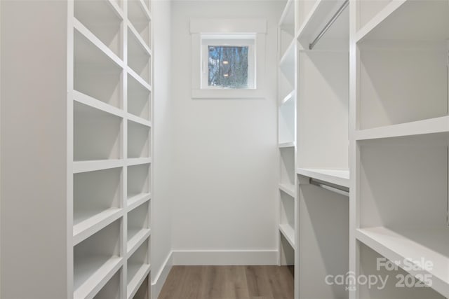 walk in closet featuring wood finished floors
