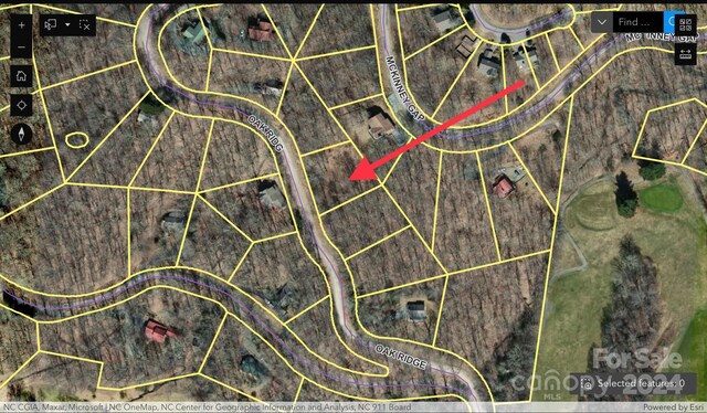 000 Oak Ridge Ln Unit 719, Mars Hill NC, 28754 land for sale