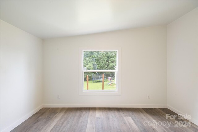 spare room featuring wood-type flooring