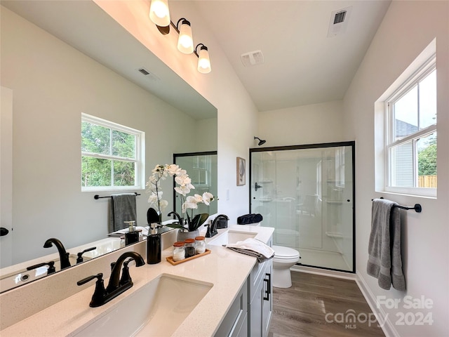 bathroom with vanity, wood-type flooring, toilet, and walk in shower