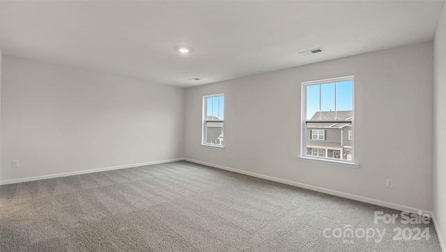 unfurnished room with carpet flooring and a healthy amount of sunlight