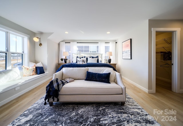 bedroom featuring light hardwood / wood-style floors, a spacious closet, and multiple windows