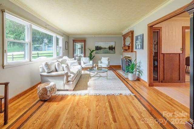 living room with light wood-type flooring, a textured ceiling, and ornamental molding